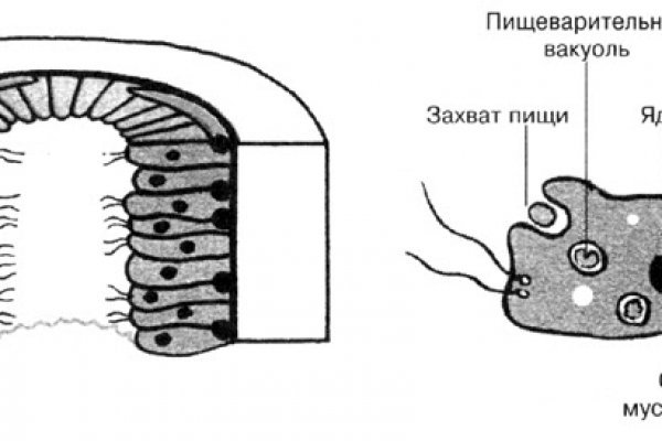 Что такое кракен маркетплейс
