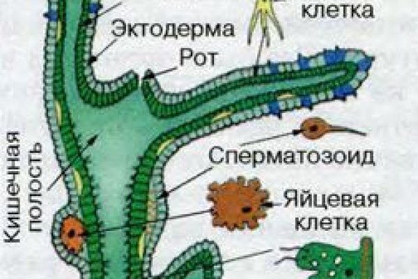 Купон кракен даркнет