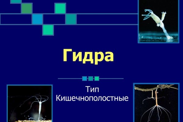 Кракен маркет только через тор скачать