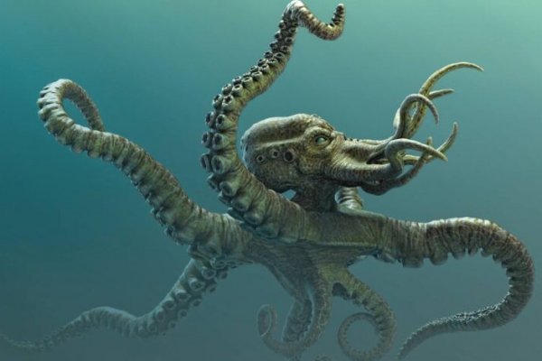 Kraken cc ссылка